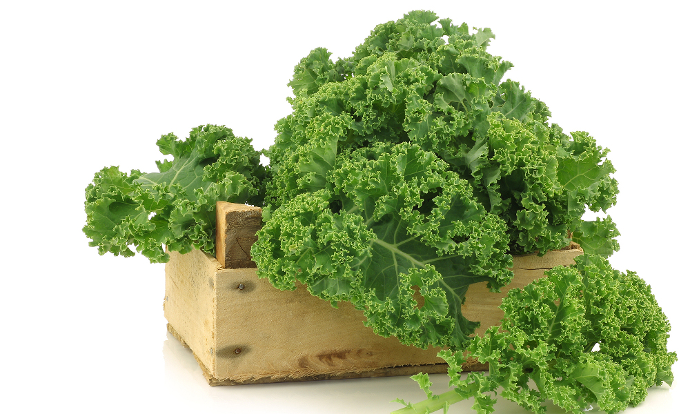 Many of the essential vitamins are available in kale