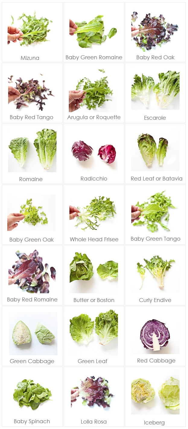lettuce types