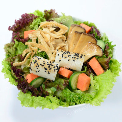 E4. Vegetarian Pork Rib Salad - VEG