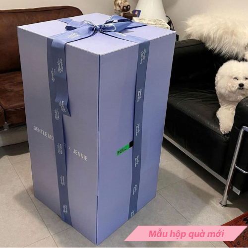 Hộp Quà Khổng Lồ Mới 03